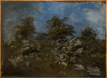 Paisagem com rocha