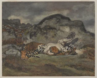 Tigre Rolante, c.1840 (wc no papel)