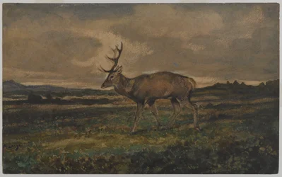 Stag Walking (wc no papel)