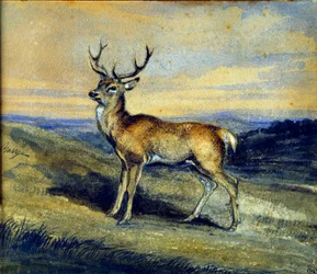 O veado. Quadro de Antoine Louis Barye