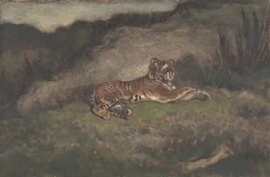 Tigre, 1810-75.