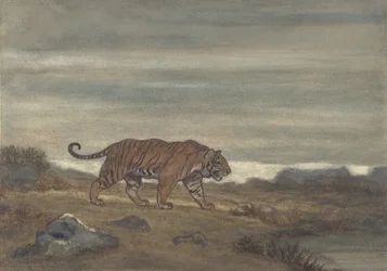 Piscina de aproximação do tigre, 1810-75.