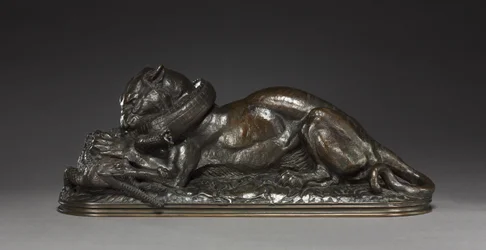 Tigre a devorar um gavial, 1831