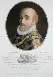 Gaspard de Saulx (1509-73) Senhor de Tavanes