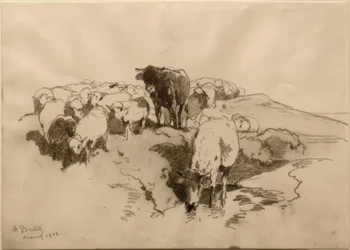Bovinos e ovinos