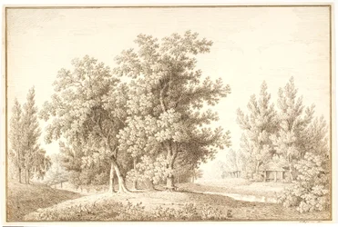 Parque com riacho e pequena cabana