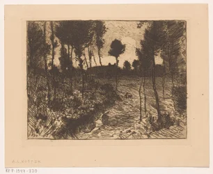 Estrada florestal à noite