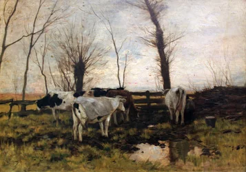 Vacas no pasto