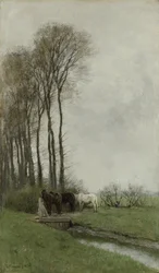 Cavalos na cerca