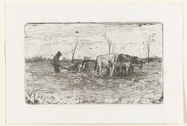 Lavoura de bois