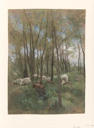 Rebanho de ovelhas em uma floresta
