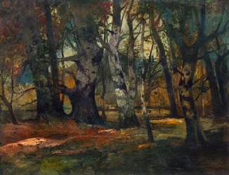 Floresta de Outono