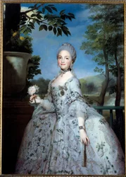 Retrato de Maria Luísa de Parma, Princesa das Astúrias (1751-1819) Pintura de Anton Raphael Mengs (1728-1779) (ec.all.) Século XVIII Madrid, Museu do Prado