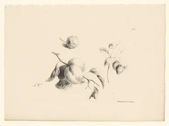 Damascos e morangos
Flores e frutos (título da série)