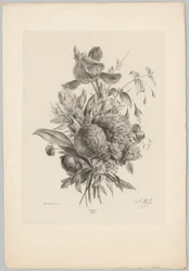 Cravos e lírios
Flor e Fruta Studien (...) 10ª prestação (título da série)