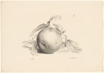 Appel
Fruta (título da série)