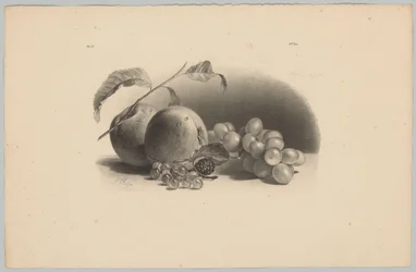 Maçãs, bagas, amoras e uvas
Estudos de Flores e Frutos (...) 3ª prestação (título da série)