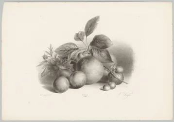 Flores, nectarinas e avelãs
Estudos de Flores e Frutos (...) 10ª prestação (título da série)