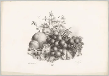Flores, pêssego, nectarina, uvas e amoras silvestres
Estudos de Flores e Frutos (...) 10ª prestação (título da série)