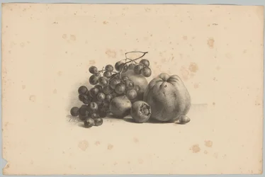 Uvas e maçãs
Estudos de Flores e Frutos (...) 3ª prestação (título da série)