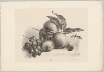 Uvas, ameixas, pêssegos e cerejas
Flor e Fruta Studien (...) 10ª edição (título da série)