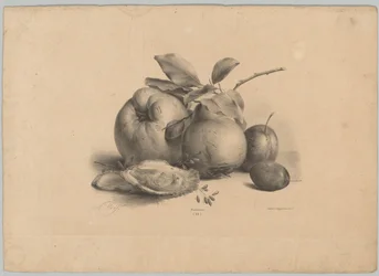 Frutas, ameixas e ostras Estudos de Flores e Frutos (...) 10º episódio (título da série)