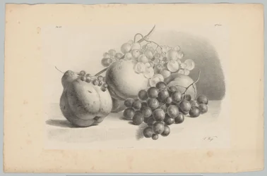 Abóbora, bagas, uvas e pêssegos
Estudos de Flores e Frutos (...) 3ª prestação (título da série)