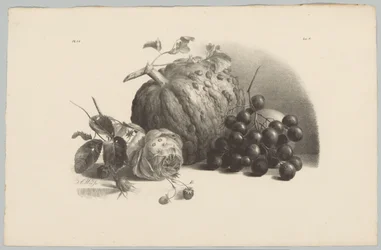 Abóbora, uvas, rosa e morangos Estudos de Flores e Frutos (...) 3º episódio (título da série)