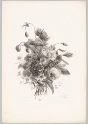 Rosas e outras flores
Flor e Fruta Studien (...) 10º episódio (título da série)