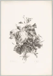 Rosas e flores de cálice
Flor e Fruta Studien (...) 10ª edição (título da série)