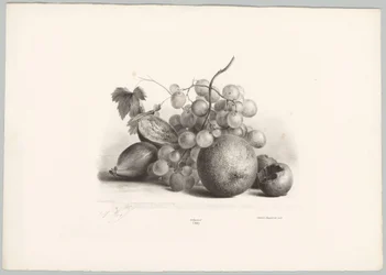Figos, uvas e laranjas
Estudos de Flores e Frutos (...) 10ª prestação (título da série)