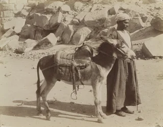 Bourier e Bouriquer, Egipto