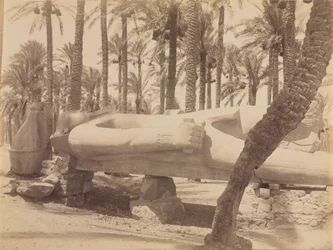 Estátua de Ramsés em Saqqara, c. 1870 - 1880.