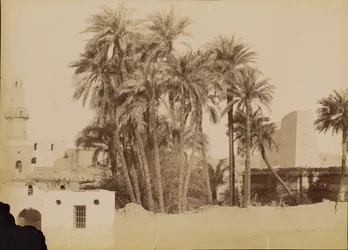 [Aldeia e pilão de Edfu] / [Village et Pylone d