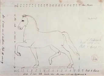 Estudo para um cavalo para um monumento equestre (desenho