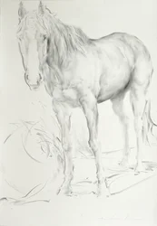 Cavalo em Coolmore, 1990 (carvão sobre papel)