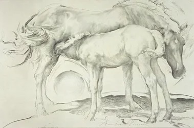 Cavalos em Coolmore, 1990 (carvão sobre papel)