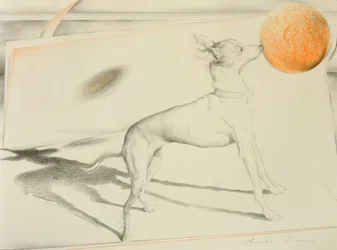 Space Dog (carvão e pastel sobre papel)