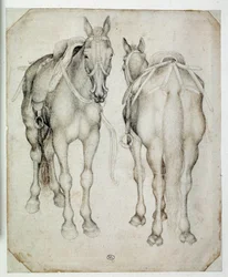 Dois arreios, vistos três quartos, um da frente e o outro de trás. Desenho de Pisano Antonio di Puccio dit Pisanello (1395-1455)