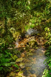 Serra da Mantiqueira, 2021 (foto)