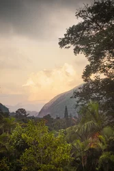 Serra dos Órgãos VIII, Petrópolis, Rio de Janeiro, Brazil, 2025 (photograph)