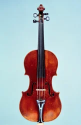Violino