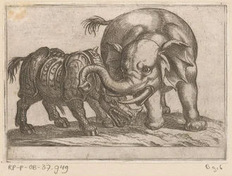 Um rinoceronte luta contra um elefante
Animais de combate (título da série)