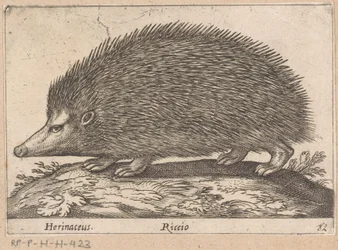 Egel
Herinaceus/ Riccio (título sobre o objecto)
Dieren en fabelwezens (título da série)
Nova raccolta de li animali più curiosi del mondo (título da série)