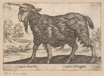 Geit met één hoorn
Capra Silvestris/ Capra Selvaggia (título sobre o objecto)
Dieren en fabelwezens (título da série)
Nova raccolta de li animali più curiosi del mondo (título da série)