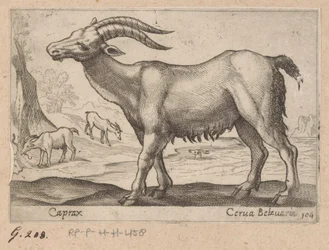 Gemas
Caprax/ Cerua Belzuaria (título sobre o objecto)
Dieren en fabelwezens (título da série)
Nova raccolta de li animali più curiosi del mondo (título da série)