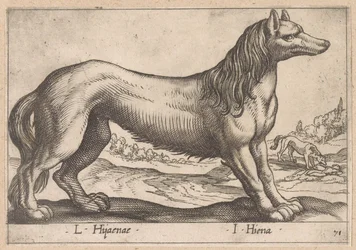 hiena L Hijanae/ I Hyena (título no objeto) Dieren en fabelwezens (título da série) Nova raccolta de li animali piu curiosi del mondo (título da série)