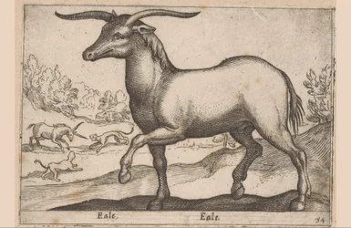 Cavalo com chifres Eale/Eale (título no objeto) Animais e criaturas míticas (título da série) Nova raccolta de li animali piu curiosi del mondo (título da série)