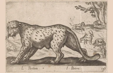 Pantera L Panthera/ I Panthera (título no objeto) Dieren en fablewezens (título da série) Nova coleção dos animais mais curiosos do mundo (título da série)
