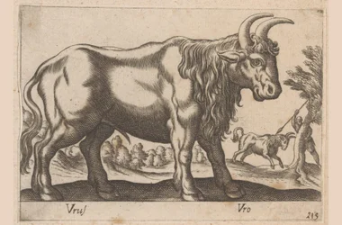 Stier
Vrus/ Vro (título sobre o objecto)
Dieren en fabelwezens (título da série)
Nova raccolta de li animali più curiosi del mondo (título da série)